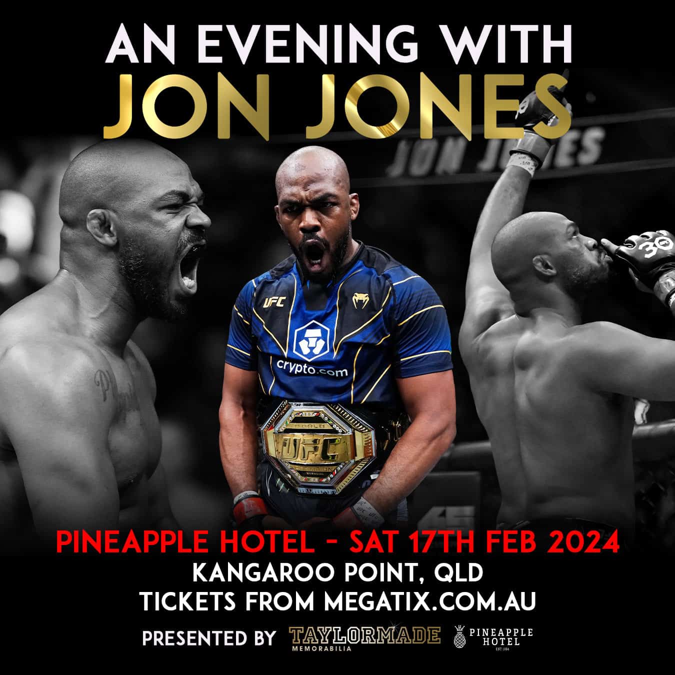 Jon Jones Evening Pineapple Hotel Copy 2